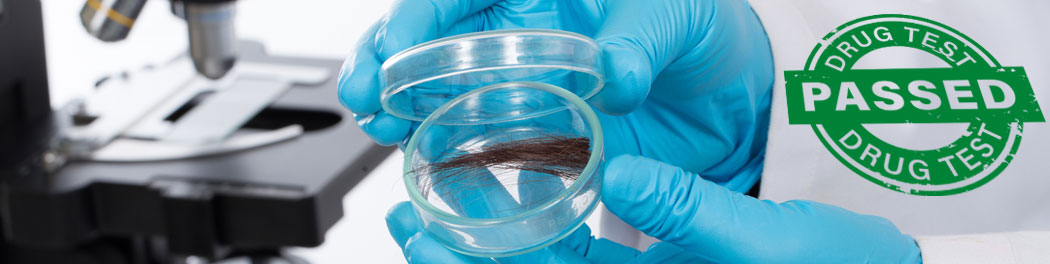 how to pass a hair follicle drug test