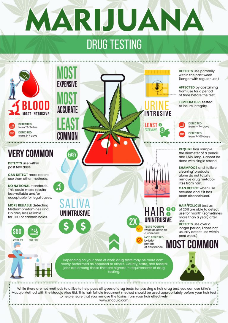 Cannabis Drug Testing Facts Infographic - Macujo