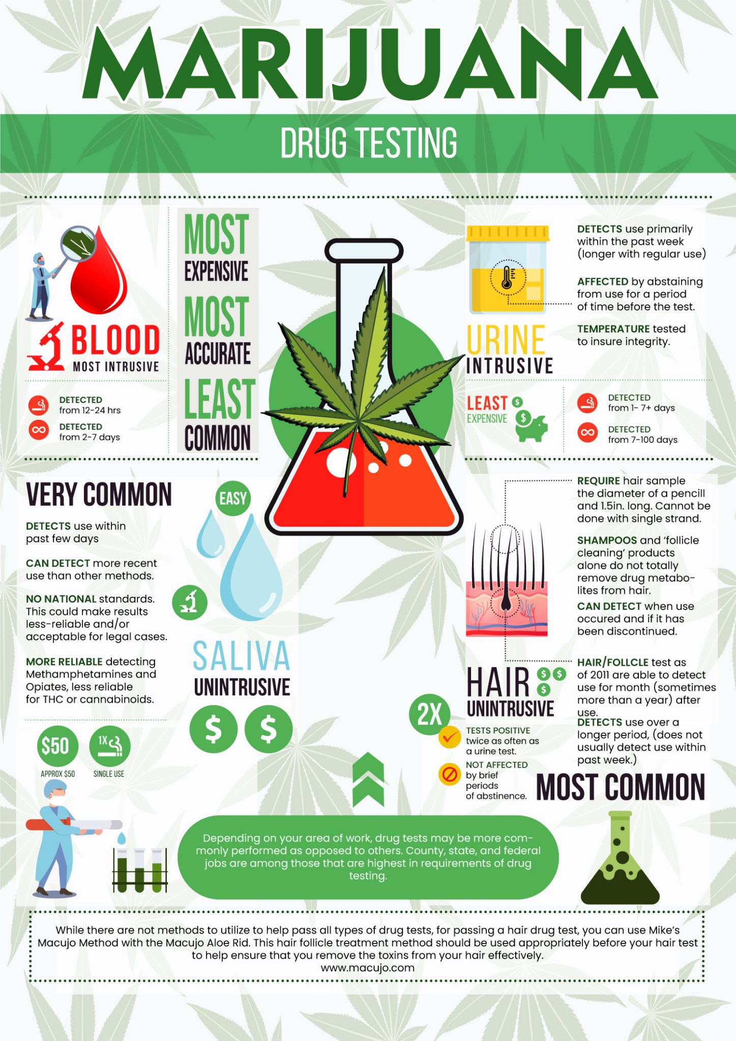 marijuana drug testing facts